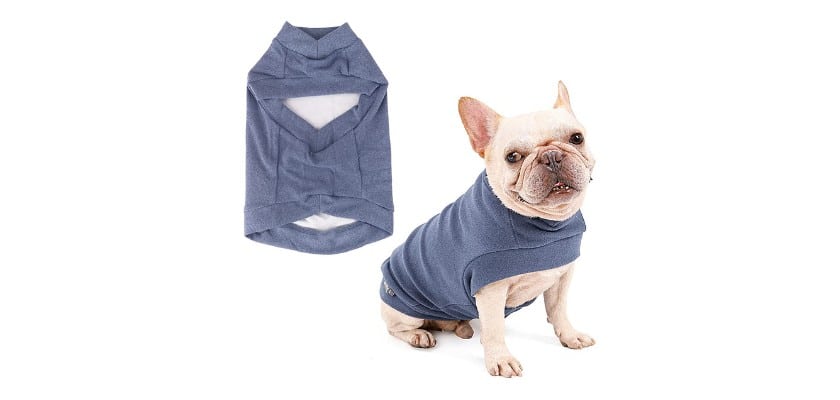 Maglione blu per bulldog francese – Prodotti indispensabili per il Bulldog Francese