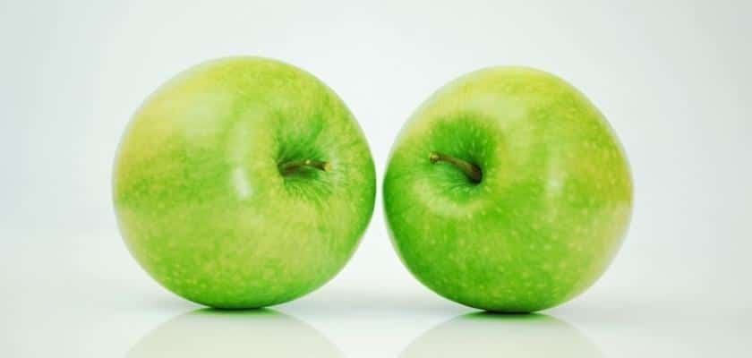 Due mele verdi – I 15 migliori dolcetti per cani sani