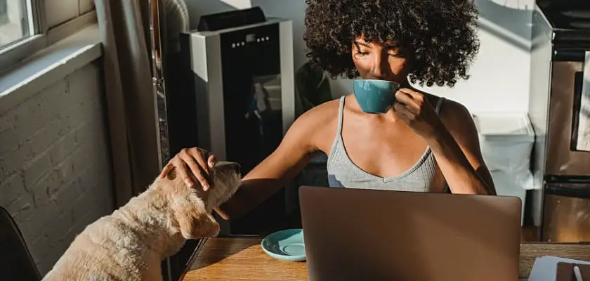 Ragazza coi capelli ricci che accarezza il suo cane mentre beve una tazza di latte e osserva il monitor del suo Notebook