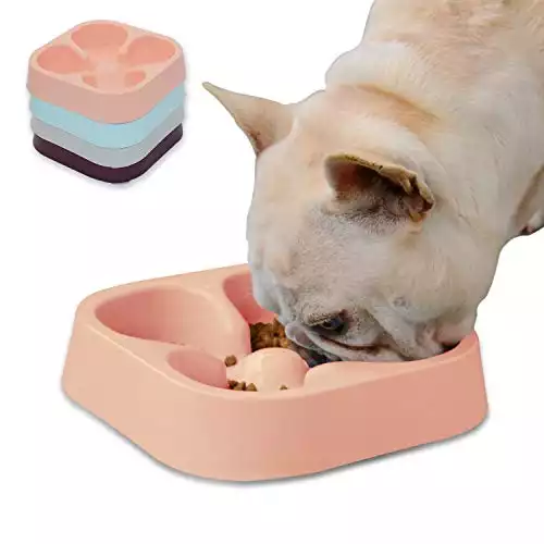 Hifrenchies Ciotola per cani sana e lenta alimentazione per bulldog francese – mangiatoia per cani, gatti, cibo con motivo a quadrifoglio, colore: rosa