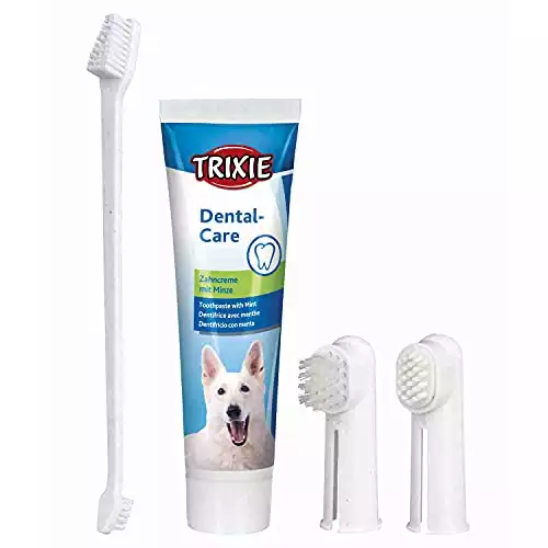 Trixie 2561 Dental Care Kit, Cane
