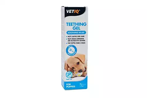 Amazon.it : gel lenitivi per la dentizione del cane