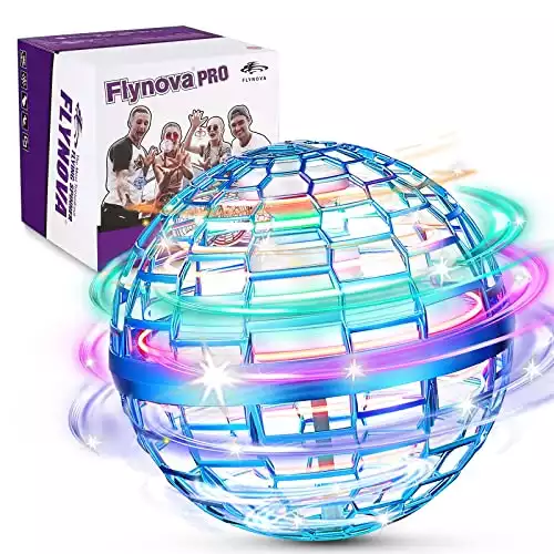 Amazon.it : flyball