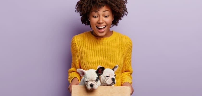 Bella donna felice con i capelli ricci che tiene una scatola di legno con due simpatici cuccioli di razza