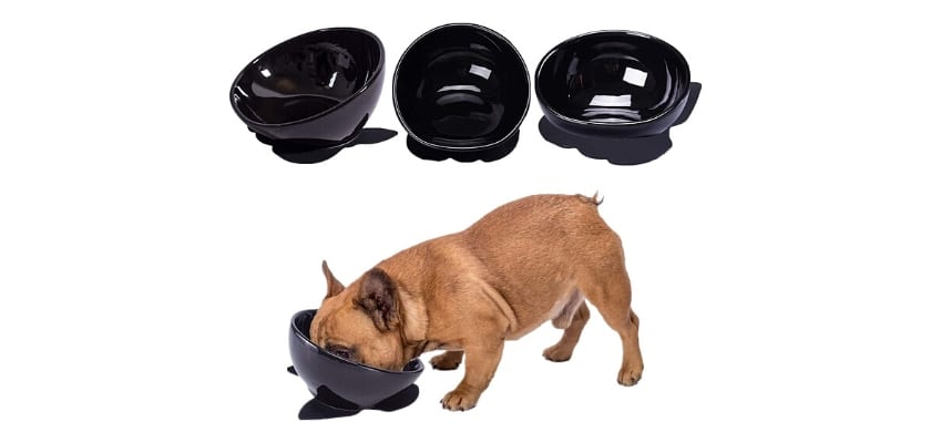 Ciotola in ceramica per cani a bocca larga con tappetino in gomma antiscivolo – JYHY