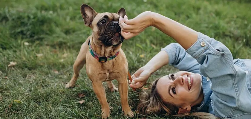 Giovane donna con il suo animale domestico bulldog francese nel parco