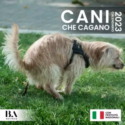 Cani Che Cagano Calendario 2023: Regalo Divertente Per Donna Uomo Amica Natale Compleanno & Altro Ancora (Con Festività Nazionali In Italia)