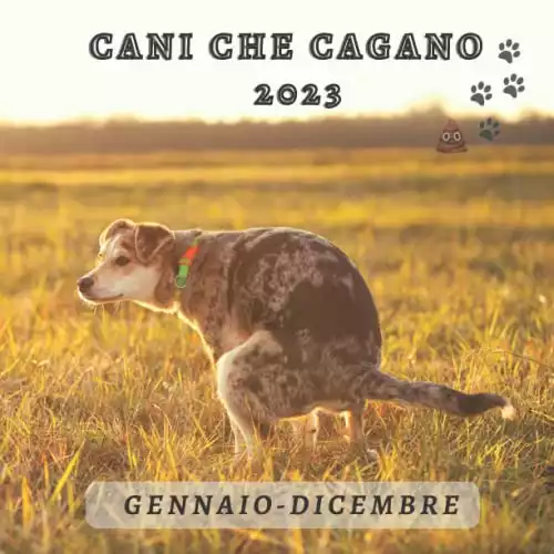 Cani Che Cagano 2023: Pianificatore Mensile 2023 |12 mesi da gennaio a dicembre 2023| ampia griglia mensile con ampio spazio per le note| un regalo divertente per gli amanti dei cani.