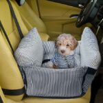 Accessori per cani per viaggiare in auto