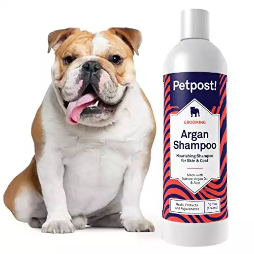 Petpost | Shampoo all'Argan per Cani - per la Cura, la Protezione e Il Ringiovanimento Naturale della Pelle e del Pelo Secco del Cane - Formula all'Olio di Argan e all'Aloe (474 ml)