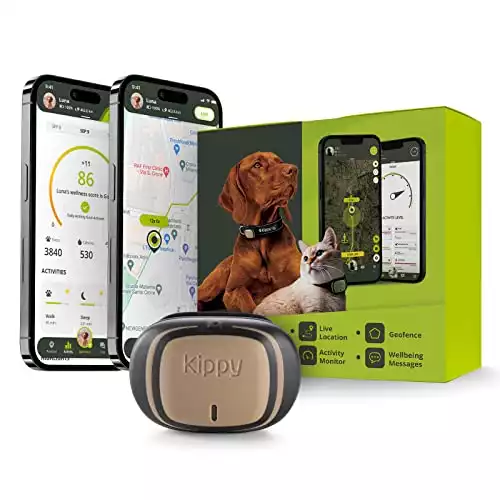 Kippy - GPS per Collare Cani e Gatti Evo - Tracker Salute e attività - GPS Satellitare per Collare GPS Gatto e Cane - GPS Cani Waterproof - Localizzatore con Alert Istantaneo e LED - Marrone
