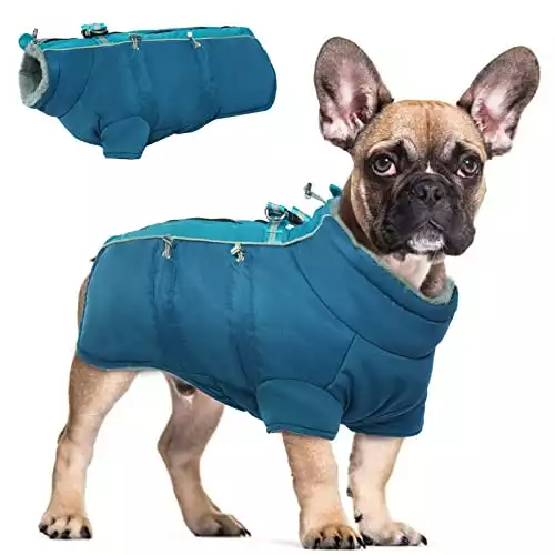 Cappotto per cani impermeabile Giacca invernale calda
