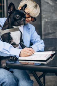 bulldog francese dal veterinario 