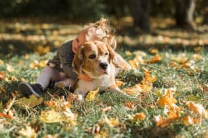 sintomo i e rimedi nelle allergie primaverili dei cani